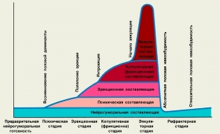 графік жаночага ўзбуджэння